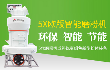 5X欧版智能磨粉机