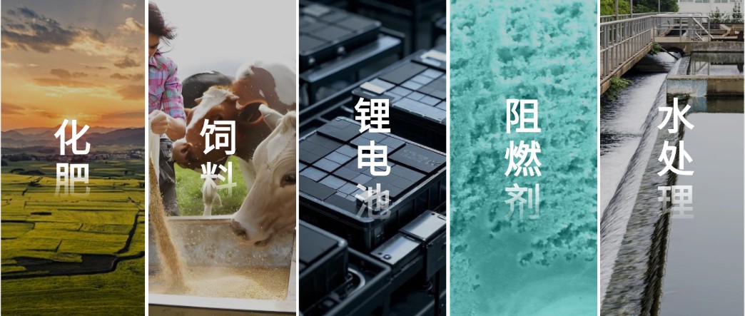 磷产业下游应用领域