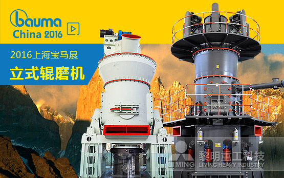 LM/LUM立式辊磨机家族  专属市场更有所为